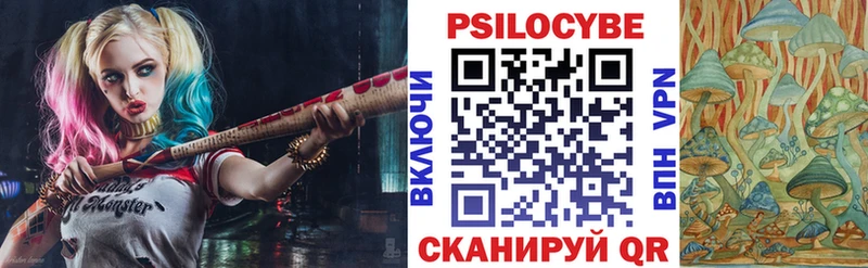 Купить  Губаха  Псилоцибиновые грибы мицелий 